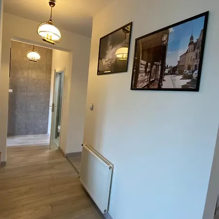 Apartament Przy Wisle טצ'ב