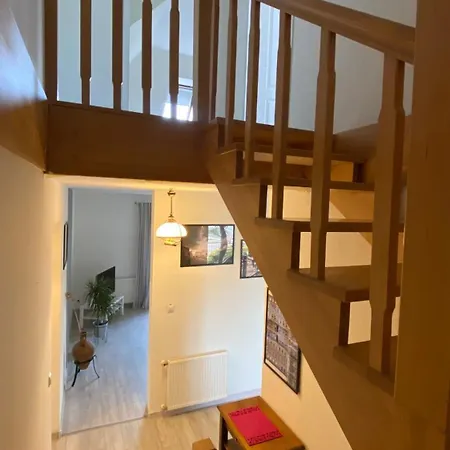 Apartament Przy Wisle * טצ'ב