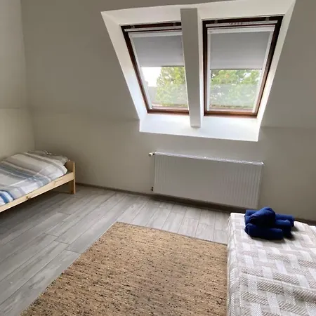 Apartament Przy Wisle דירה טצ'ב