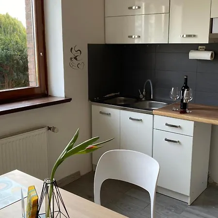 Apartament Przy Wisle דירה