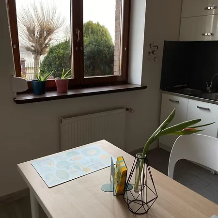 Apartament Przy Wisle דירה *