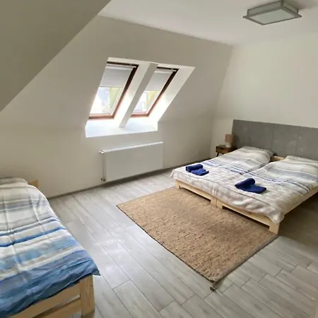 Apartament Przy Wisle דירה