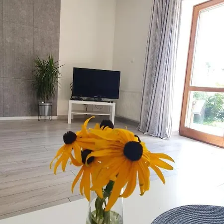 Apartament Przy Wisle דירה טצ'ב