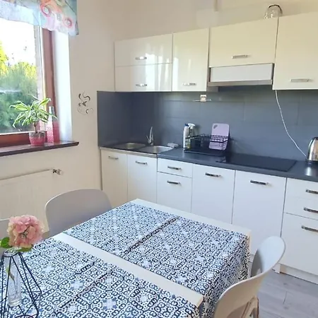 Apartament Przy Wisle * טצ'ב